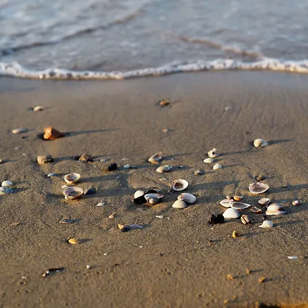 Find Peace By The Sea In Our Welcoming Flat *